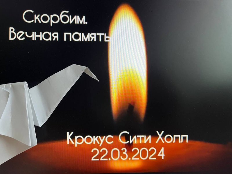 «Превратились в белых журавлей» - студенты почтили память тех, кто погиб во время теракта в Москве